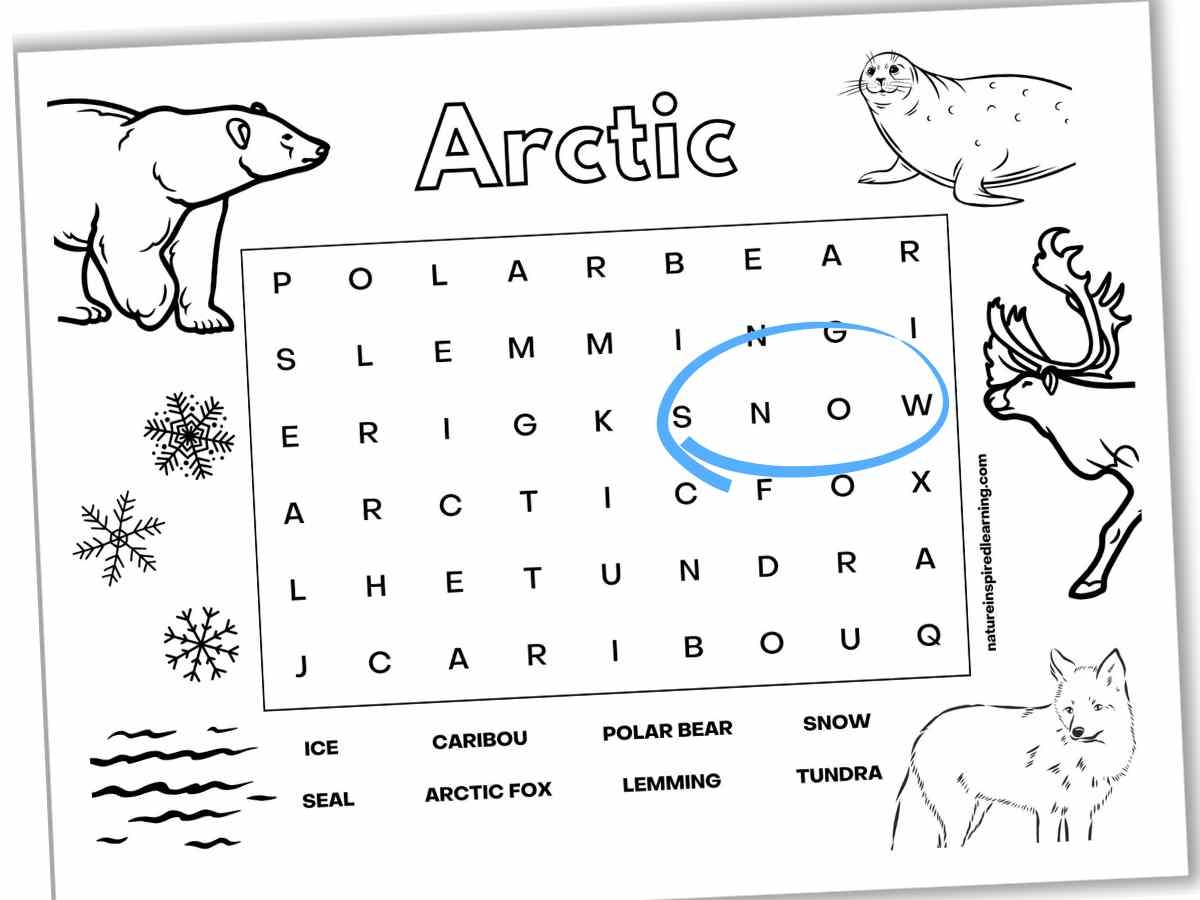 Word Search Animal Printables
