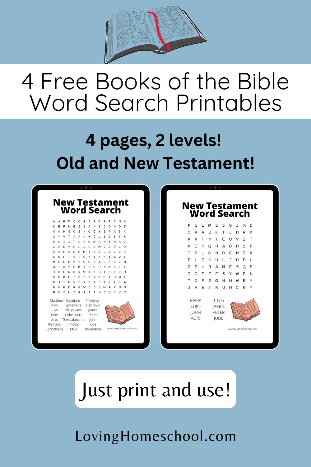 Books Of The Bible Word Search Printable