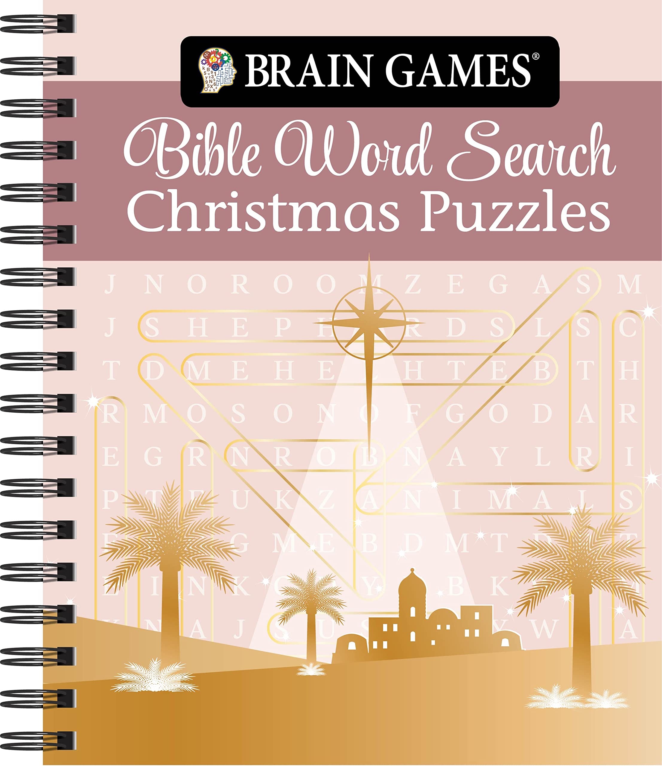 Christmas Religious Word Search Printable
