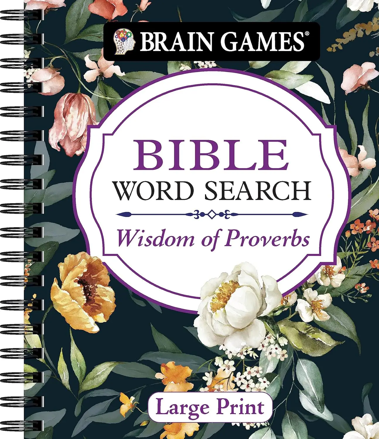 Brain Games Bible Word Search Wisdom Of Proverbs Large Print Padgett s Jewelers