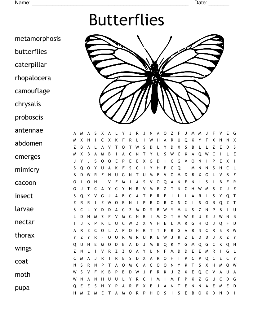 Butterflies Word Search WordMint Butterflies Word Search WordMint