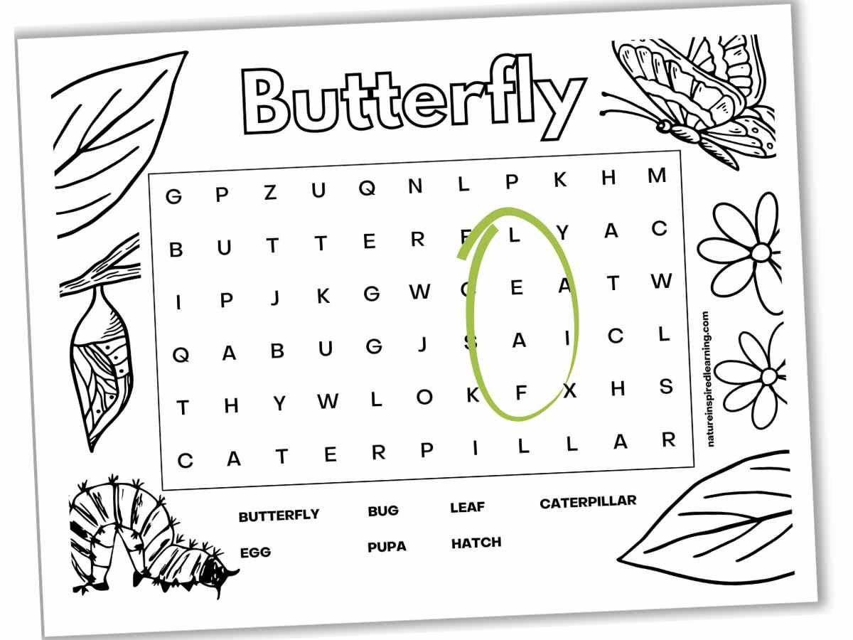 Butterfly Word Searches Nature Inspired Learning Butterfly Word Searches Nature Inspired Learning