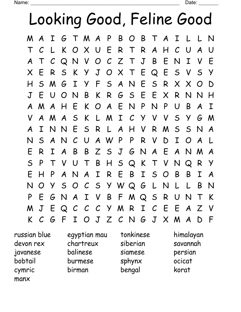 Cat Breeds Word Search WordMint Cat Breeds Word Search WordMint