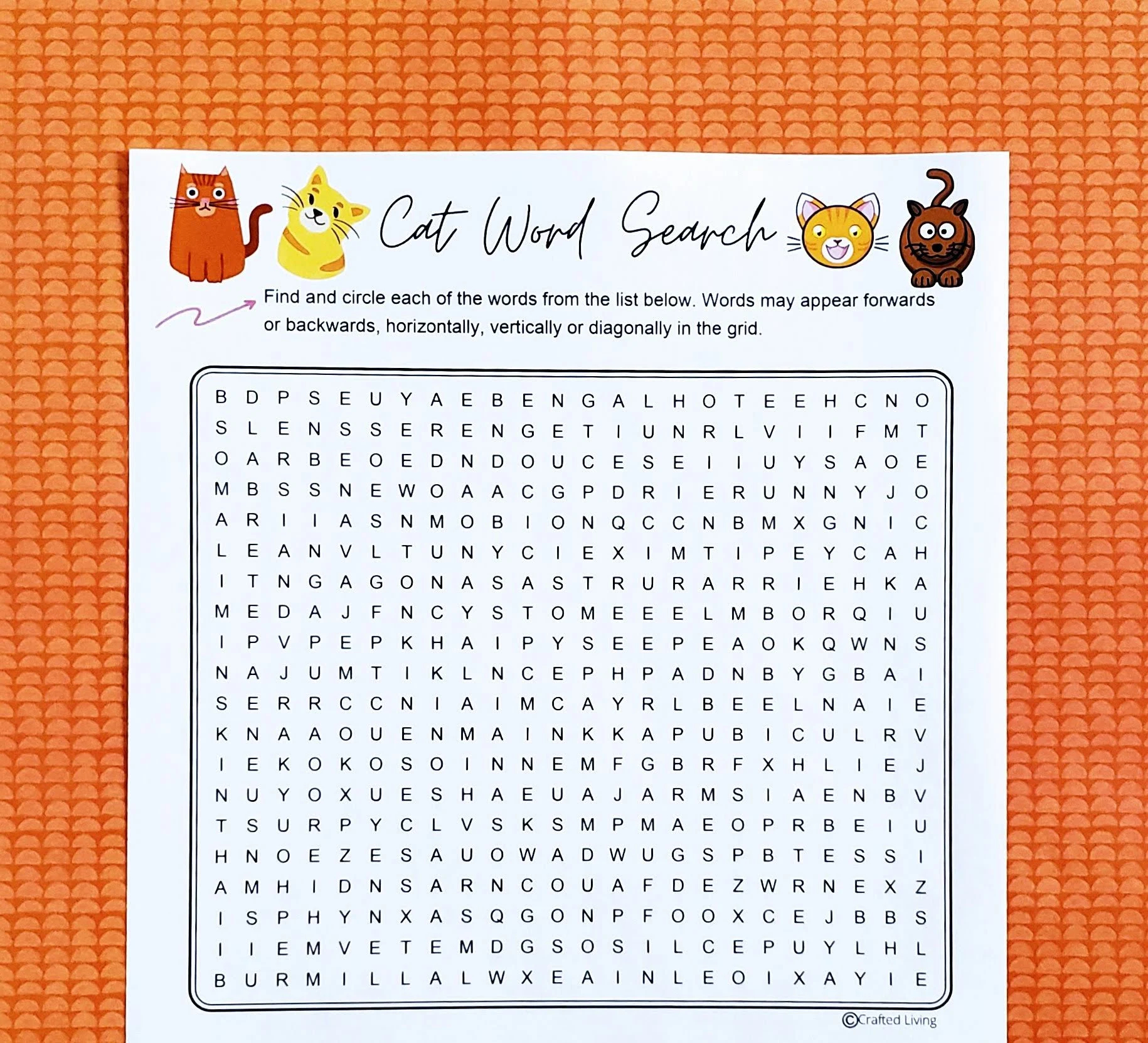 Cat Printable Word Search Animal Word Puzzle Party Game Brain Teaser Game Classroom Home School Family Activity Vocabulary Game Etsy