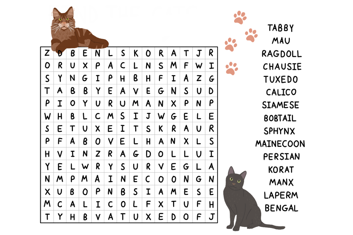 Wild Cat Word Search