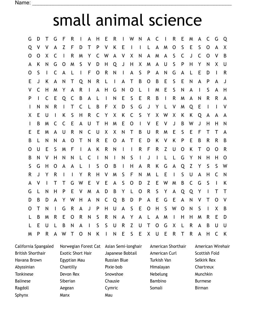 Cats Word Search WordMint