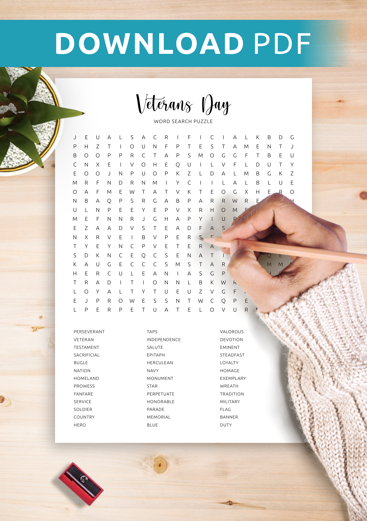 Download Printable Veterans Day Word Search In PDF