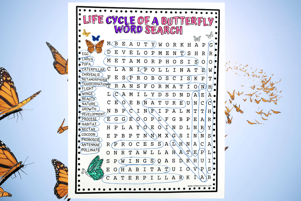 Free Butterfly Word Search Printable For Kids