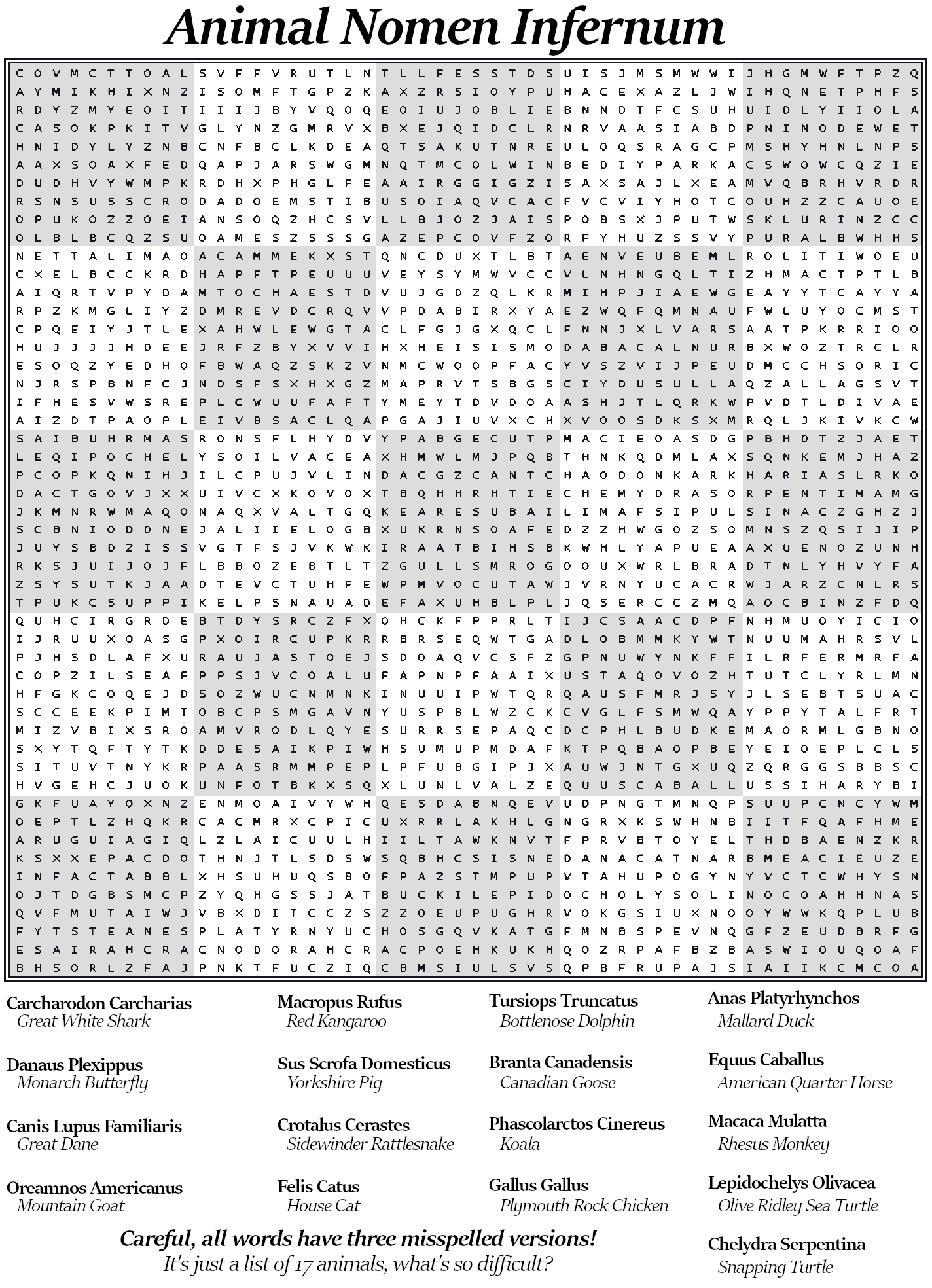 Printable Word Search Puzzles For Adults Hard Printable Word Search Puzzles For Adults Hard