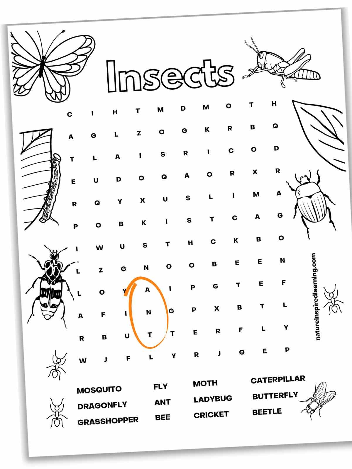 Free Coloring Pages Word Search Free Coloring Pages Word Search