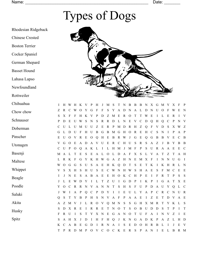 Pet Word Search Worksheets Library