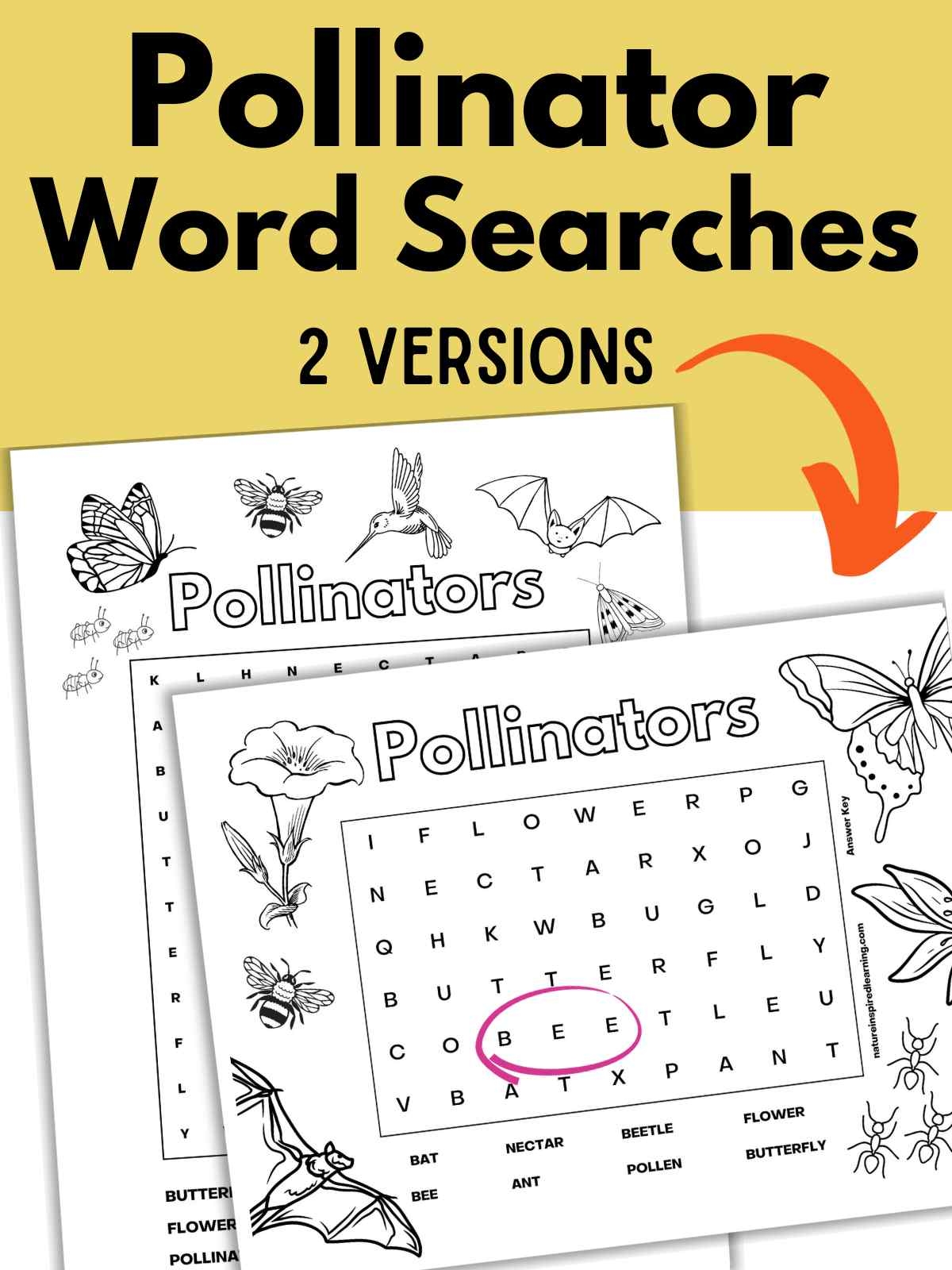 Butterfly Word Search Answers