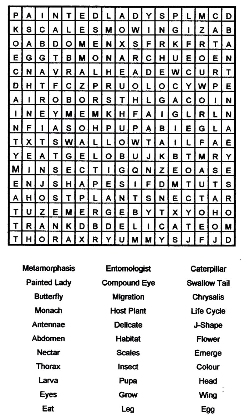 Print Word Search Puzzle Print Word Search Puzzle