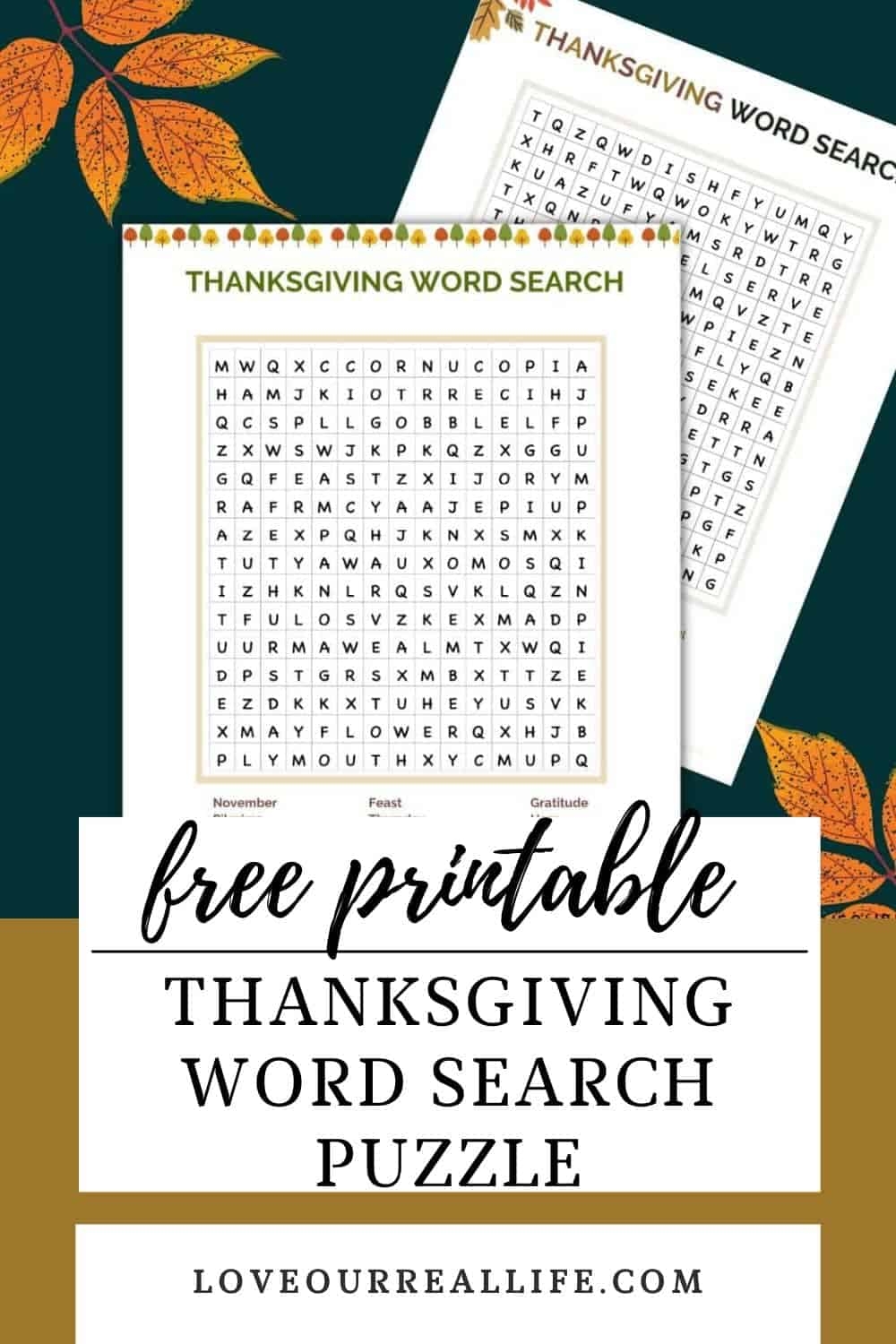 Thanksgiving Word Search Difficult Pdf
