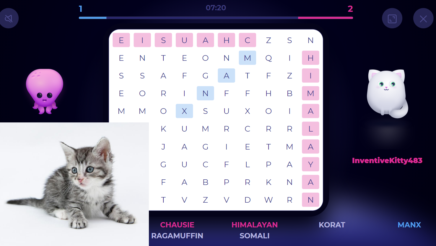 A Cat Word Search