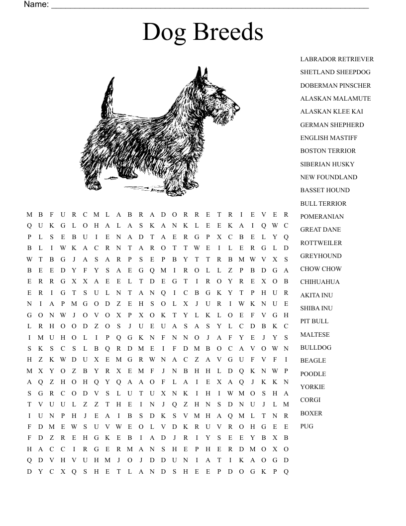 Types Of Dogs Word Search WordMint