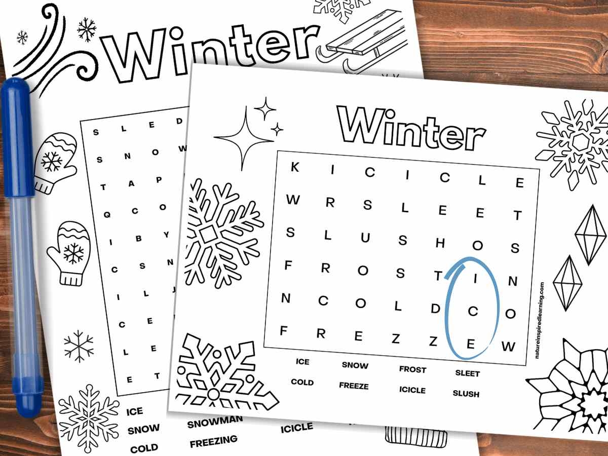 Winter Word Searches Nature Inspired Learning Winter Word Searches Nature Inspired Learning